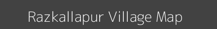 Razkallapur village map with survey numbers in Uttar Pradesh Image