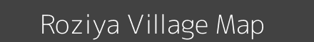 Roziya village map with survey numbers in Gujarat Image