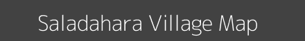 Saladahara village map with survey numbers in Odisha Image