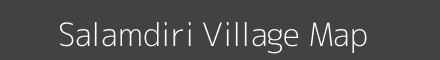 Salamdiri village map with survey numbers in Jharkhand Image