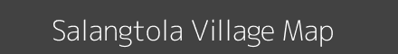 Map of Salangtola Village in Maharashtra Image