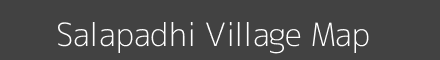 Salapadhi village map with survey numbers in Odisha Image
