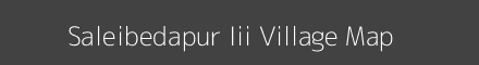 Map of Saleibedapur Iii Village in Odisha Image