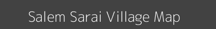 Salem Sarai village map with survey numbers in Uttar Pradesh Image
