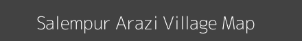 Salempur Arazi village map with survey numbers in Bihar Image