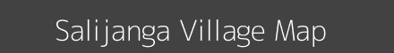 Salijanga village map with survey numbers in Odisha Image