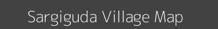 Sargiguda village map with survey numbers in Odisha Image