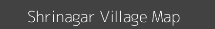 Shrinagar village map with survey numbers in Maharashtra Image