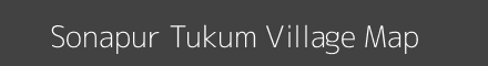 Sonapur Tukum village map with survey numbers in Maharashtra Image
