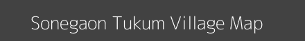 Sonegaon Tukum village map with survey numbers in Maharashtra Image