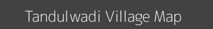 Tandulwadi village map with survey numbers in Maharashtra Image
