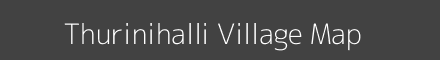 Map of Thurinihalli Village in Tamil Nadu Image