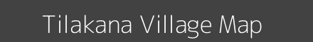 Tilakana village map with survey numbers in Odisha Image