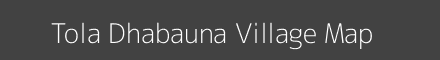 Tola Dhabauna village map with survey numbers in Bihar Image