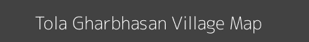 Tola Gharbhasan village map with survey numbers in Bihar Image