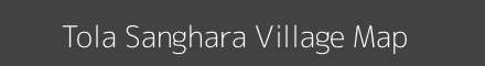 Tola Sanghara village map with survey numbers in Bihar Image
