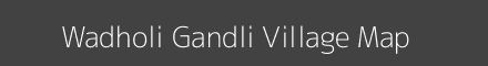 Wadholi Gandli village map with survey numbers in Maharashtra Image