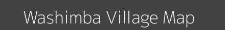 Washimba village map with survey numbers in Maharashtra Image